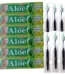 6 Pack Aloe & Mint Toothpaste with 6 Bamboo Bristle Toothbrushes - 1 Pack